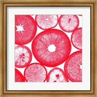 Framed Red Lemon Slices