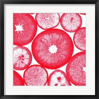 Framed Red Lemon Slices