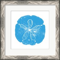 Framed Blue Sand Dollar