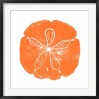 Framed Orange Sand Dollar