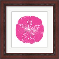 Framed Pink Sand Dollar