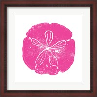 Framed Pink Sand Dollar