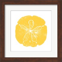 Framed Yellow Sand Dollar