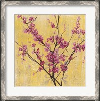 Framed Fuchsia Blossoms I