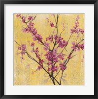 Fuchsia Blossoms I Framed Print