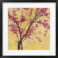 Fuchsia Blossoms II Framed Print