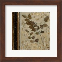 Framed Earthen Textures V