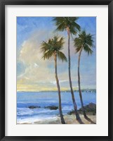 Tropical Breeze II Framed Print