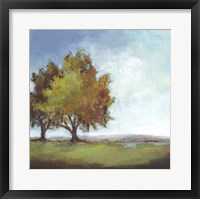 Waiting For Fall I Framed Print