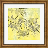 Framed Fluttering Maple I