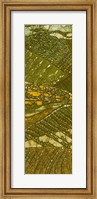 Framed Vineyard Batik I
