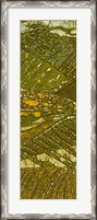 Framed Vineyard Batik I