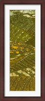 Framed Vineyard Batik I