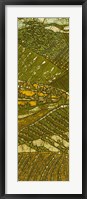 Vineyard Batik I Framed Print