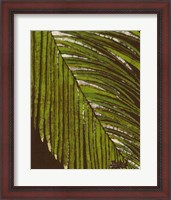 Framed Batik Frond II