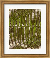 Framed Batik Frond III