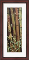 Framed Bamboo Finale I