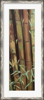 Framed Bamboo Finale I