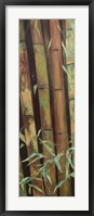 Bamboo Finale I Framed Print