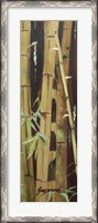 Framed Bamboo Finale II