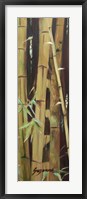 Bamboo Finale II Framed Print