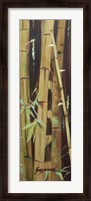 Framed Bamboo Finale II