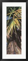 Framed Wild Palm I