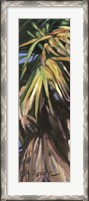 Framed Wild Palm I