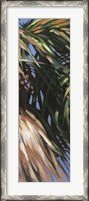Framed Wild Palm II
