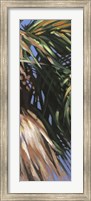 Framed Wild Palm II