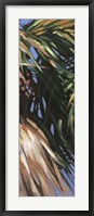 Wild Palm II Framed Print