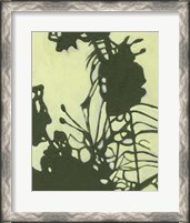 Framed Exotic Silhouette I