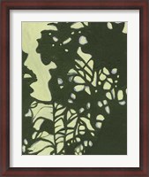 Framed Exotic Silhouette II