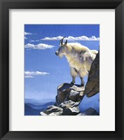 Framed Rocky Mountain High