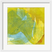 Framed Lotus Monotype I