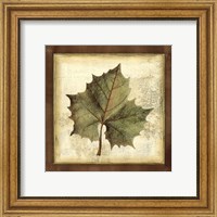 Framed Rustic Leaves I - No Crackle