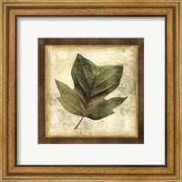Framed Rustic Leaves III - No Crackle