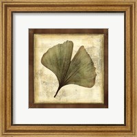 Framed Rustic Leaves IV - No Crackle