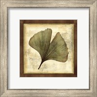 Framed Rustic Leaves IV - No Crackle