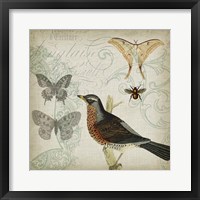 Cartouche & Wings II Framed Print