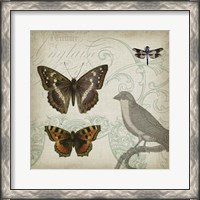 Framed Cartouche & Wings III