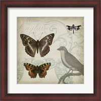 Framed Cartouche & Wings III
