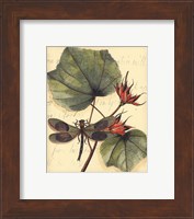 Framed Petite Dragonflies I