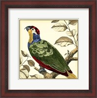 Framed Tropical Parrot II