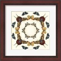 Framed Butterfly Collector I