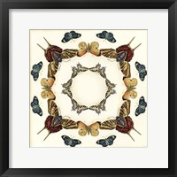 Butterfly Collector I Framed Print