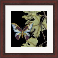 Framed Butterfly on Vine I