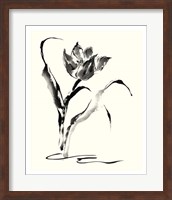Framed Studies in Ink - Tulip