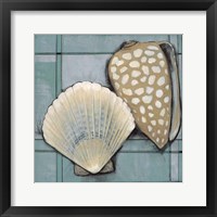 Seashell Sketch I Framed Print