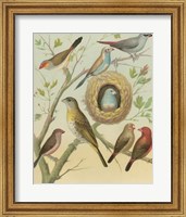 Framed Birdwatcher's Delight I